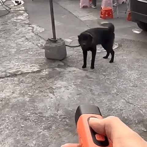 Ultra Sonic Dog Bark Deterrent