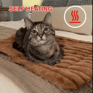 Orvia Mart Self-Warming Cat & Dog Mat