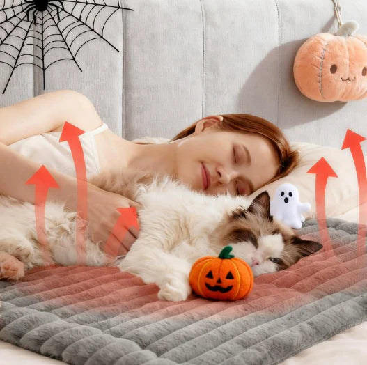 Orvia Mart Self-Warming Cat & Dog Mat