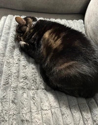 Orvia Mart Self-Warming Cat & Dog Mat