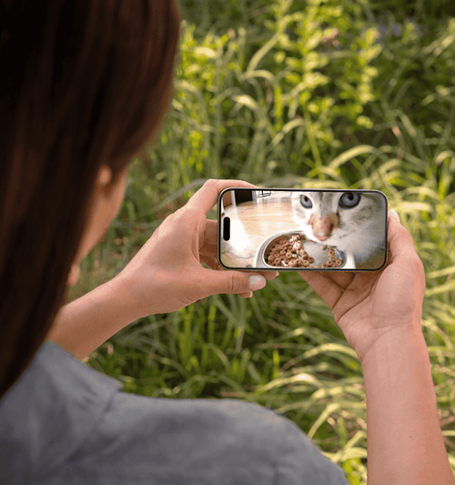 Orvia Mart Smart Dual Bowl Cat Feeder